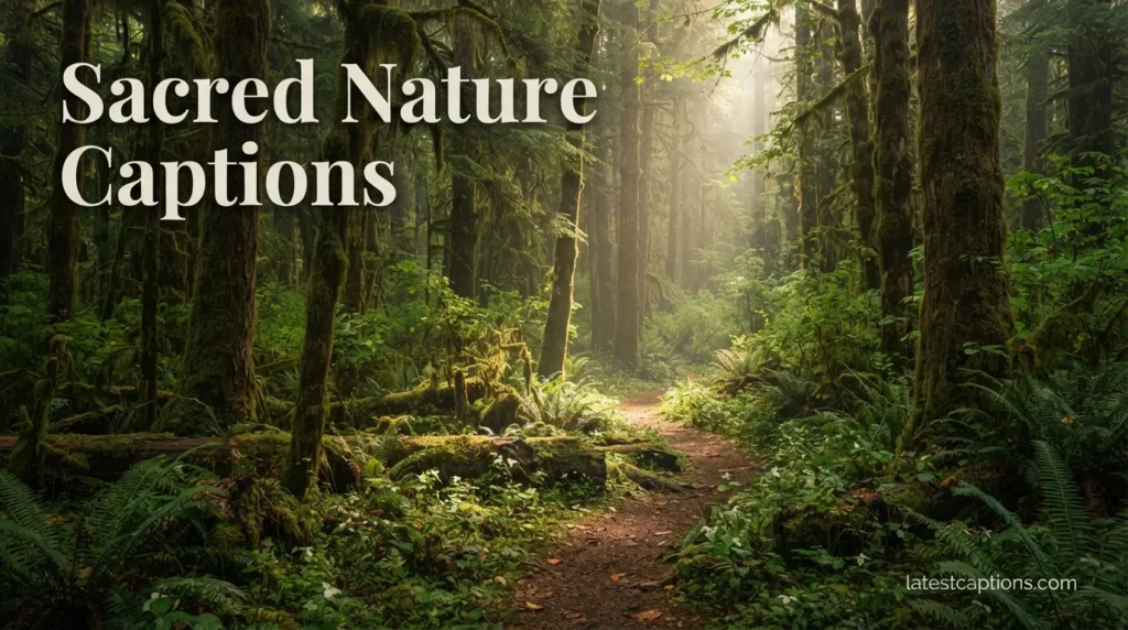Sacred Nature Captions